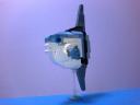 ocean-sunfish06.jpg