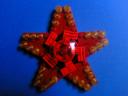 sea-star3.jpg