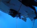 whale-shark03.jpg