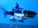 whale-shark04.jpg