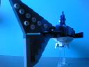 whale-shark06.jpg