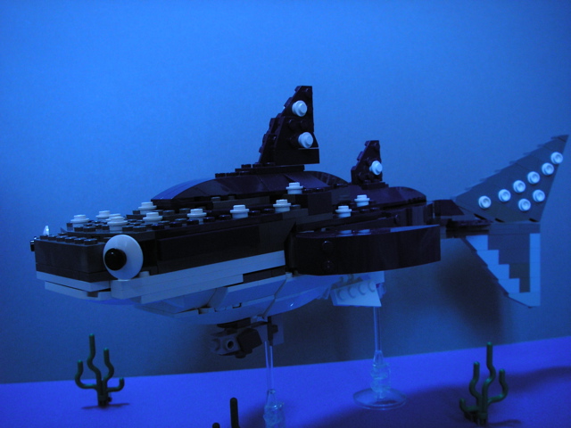whale-shark02.jpg