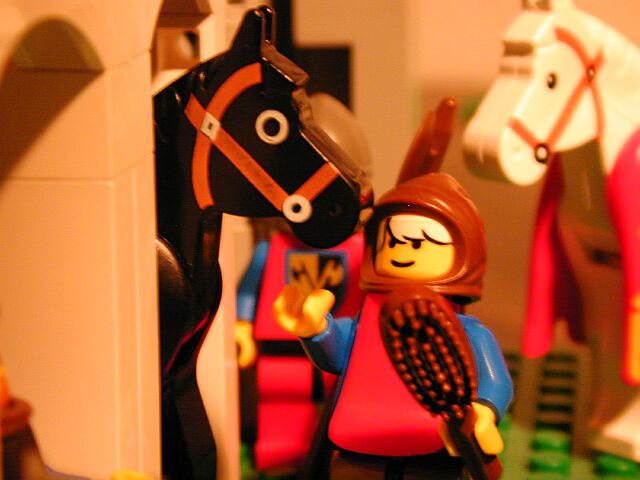 stable1.jpg
