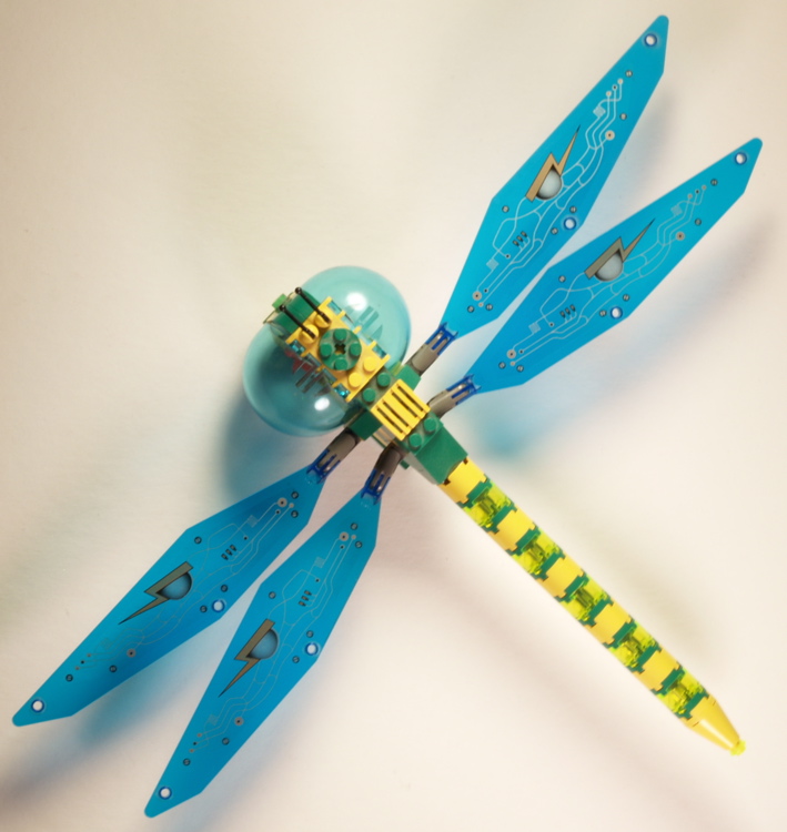 dragonfly_-_3.jpg