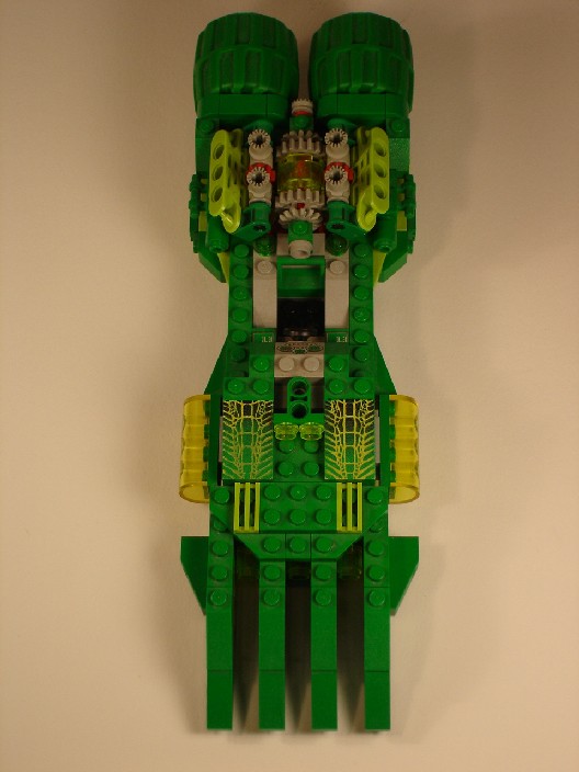 gator6.jpg