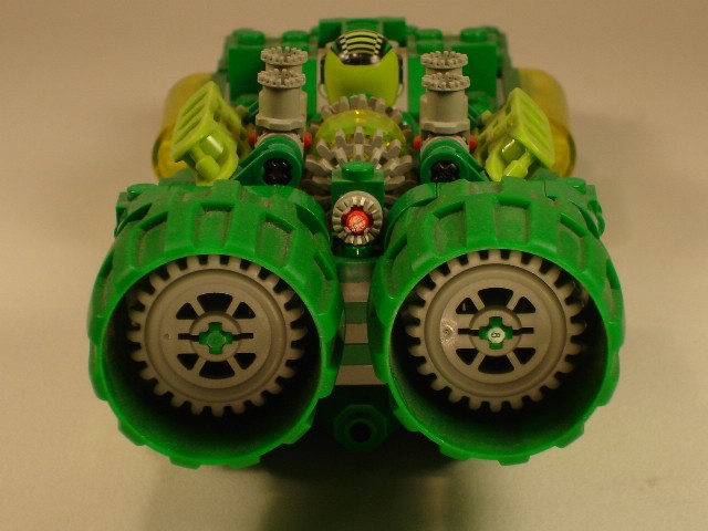 gator8.jpg
