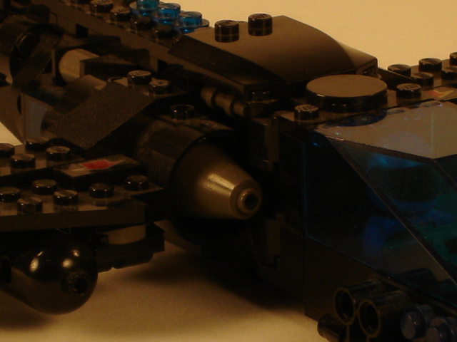 sparrow_06.jpg