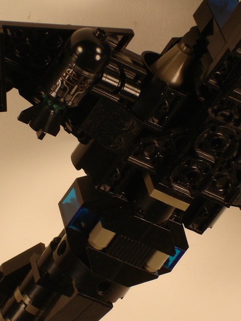 sparrow_08.jpg