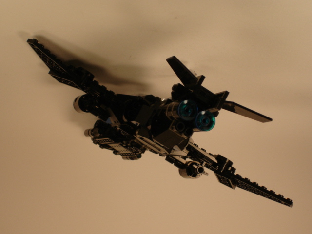 sparrow_09_.jpg
