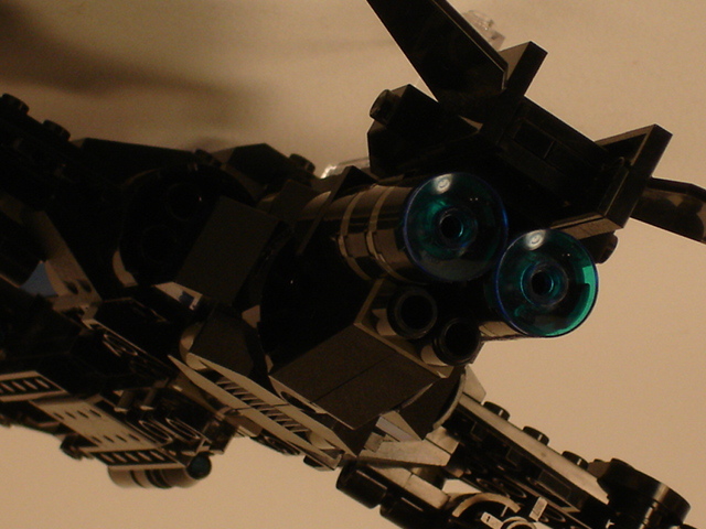 sparrow_10.jpg