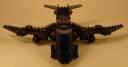 sparrow_05.jpg