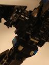 sparrow_08.jpg