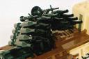onager10.jpg