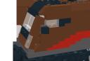 loco_details_1.png