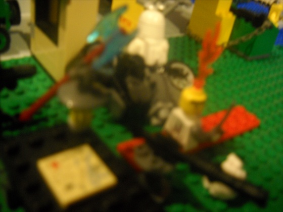dscn1311.jpg