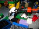 dscn1455.jpg