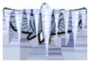 star_command_logo_frozen.png