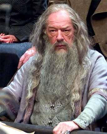 dumbledore_reference.jpg