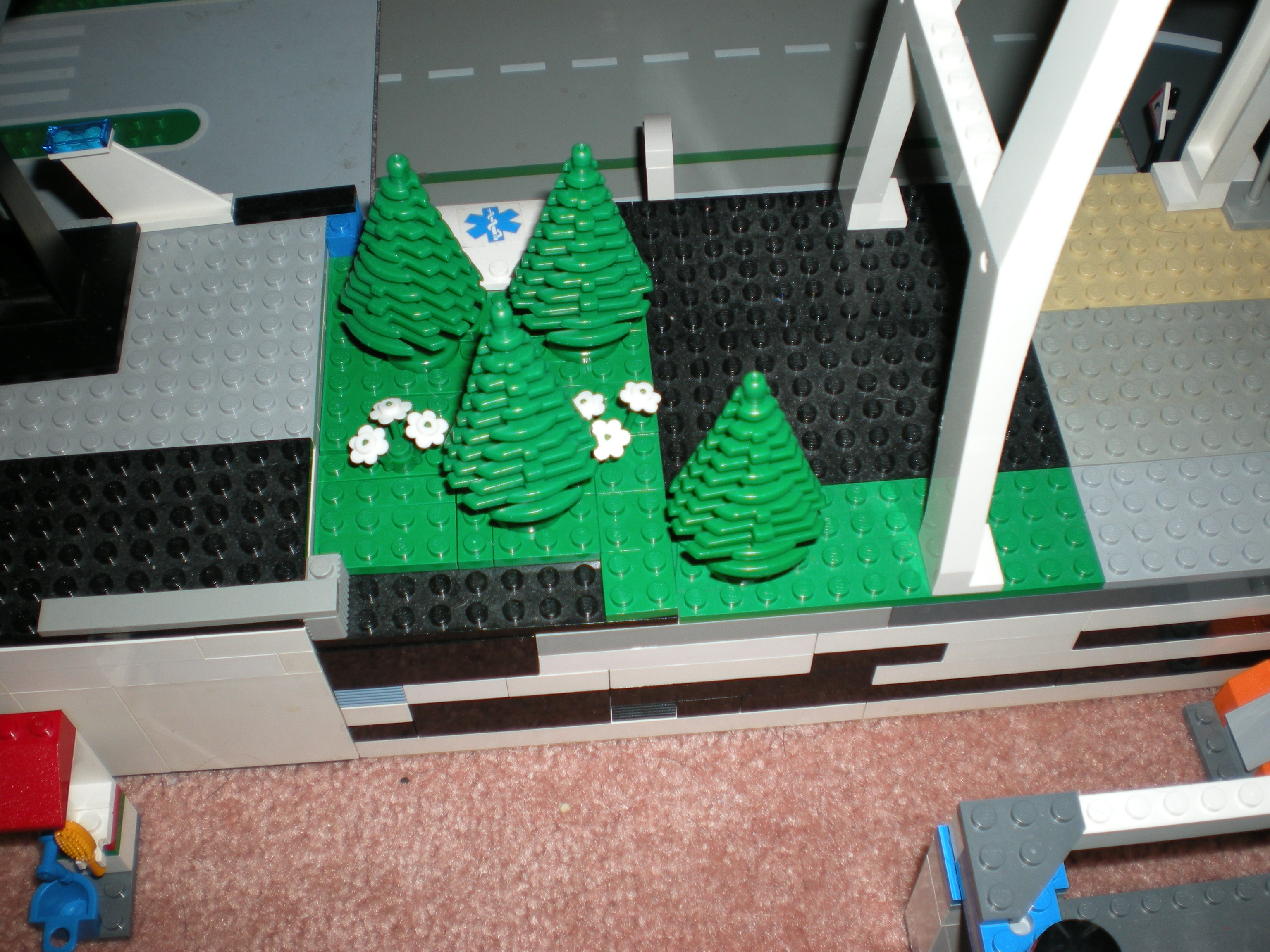 forest_on_ems_station.jpg