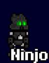 ninjoavi.gif