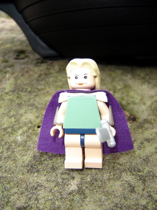 fflego_006.jpg
