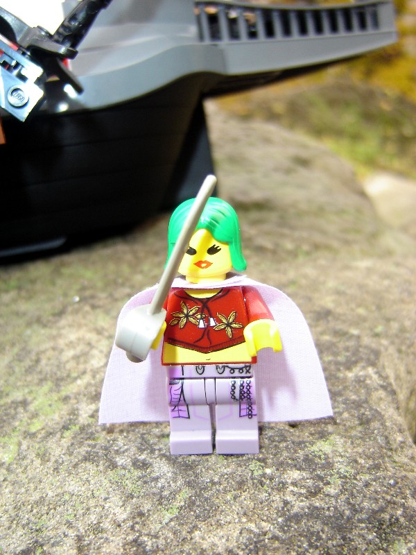fflego_007.jpg