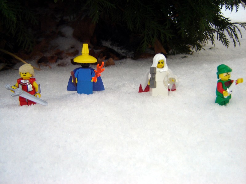 fflego_025.jpg