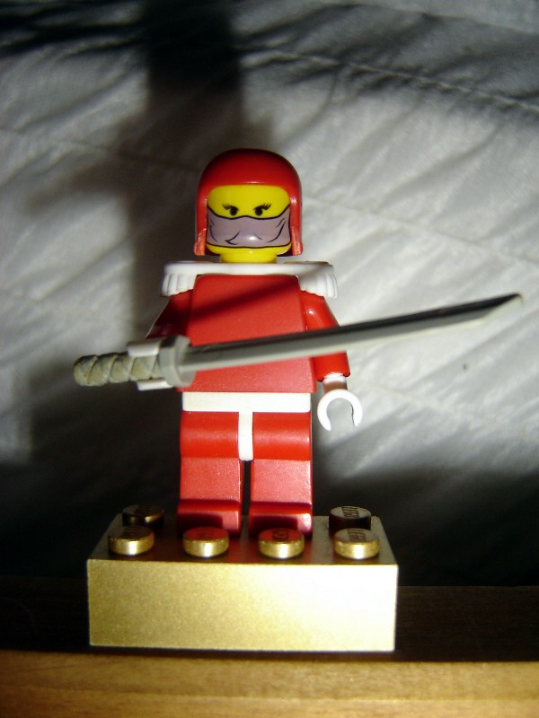 fflego_033.jpg