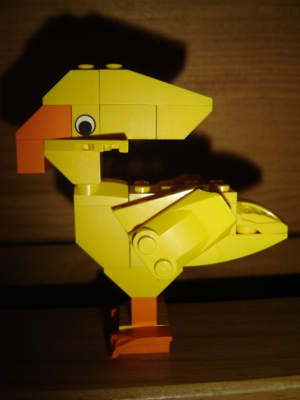 fflego_042.jpg