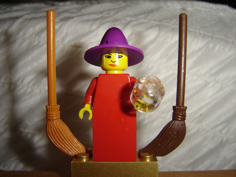 fflego_049.jpg