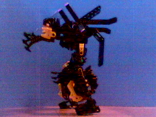 blaster_waikawa2.jpg