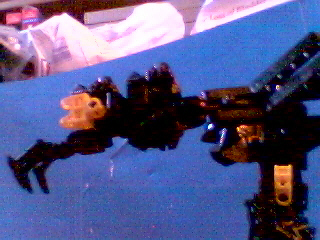 blaster_waikawa4.jpg