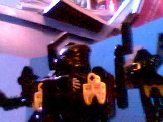 omega_waikawa3.jpg