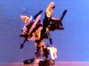 mini_omega_waikawa4.jpg