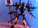 omega_waikawa10.jpg