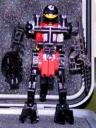 TFES