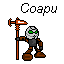 coapusrequest.png