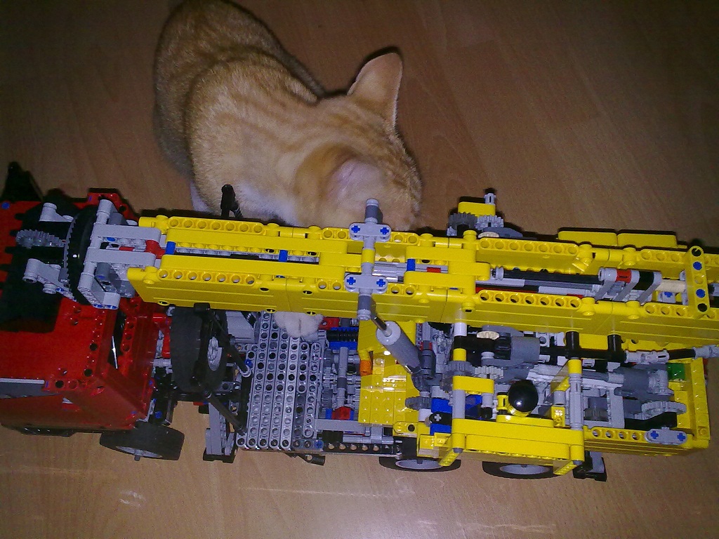 30.jpg