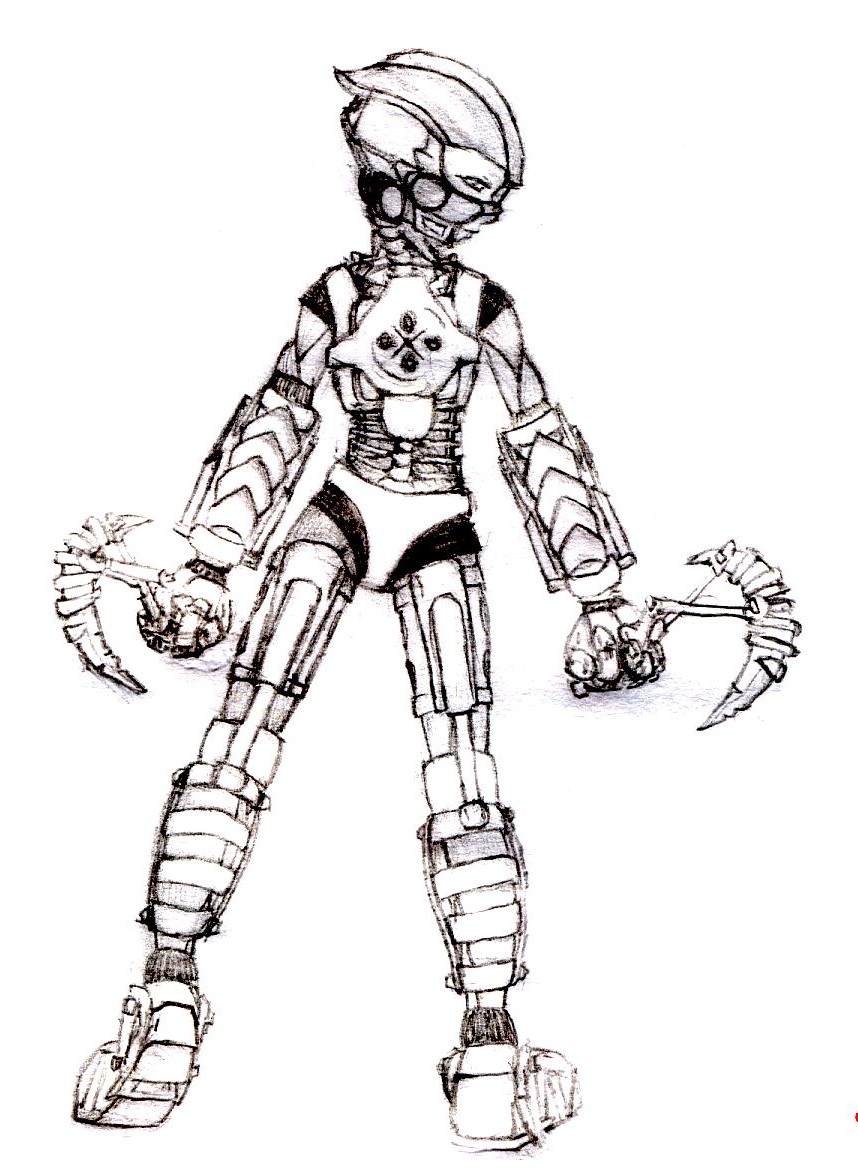 gali2.jpg