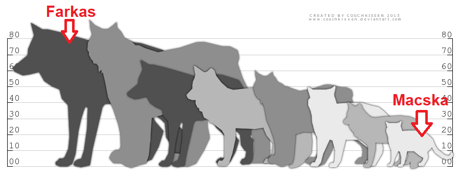wolf_size_02.png