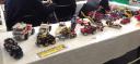 technic-modelteam2.jpg