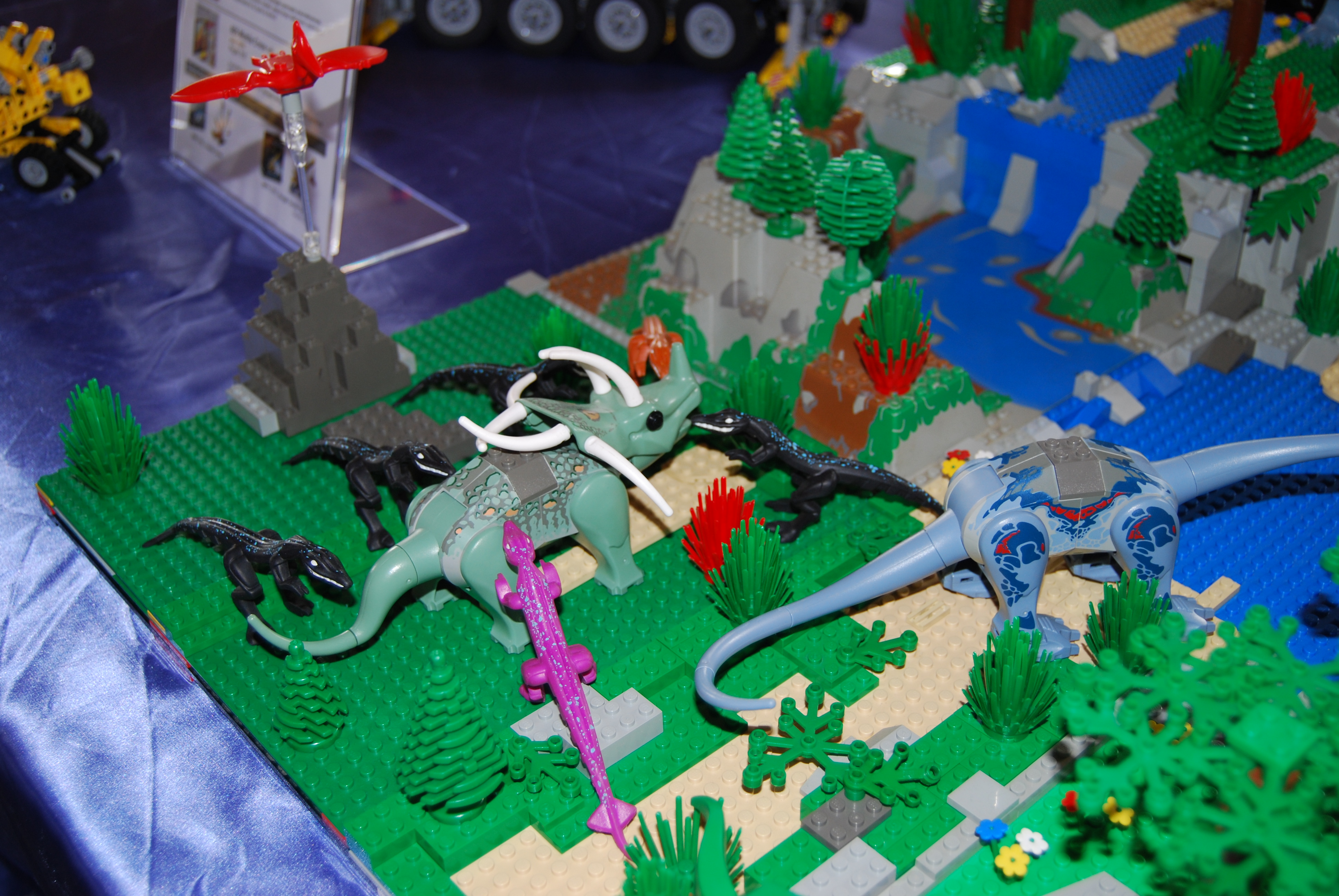 dsc_0025.jpg