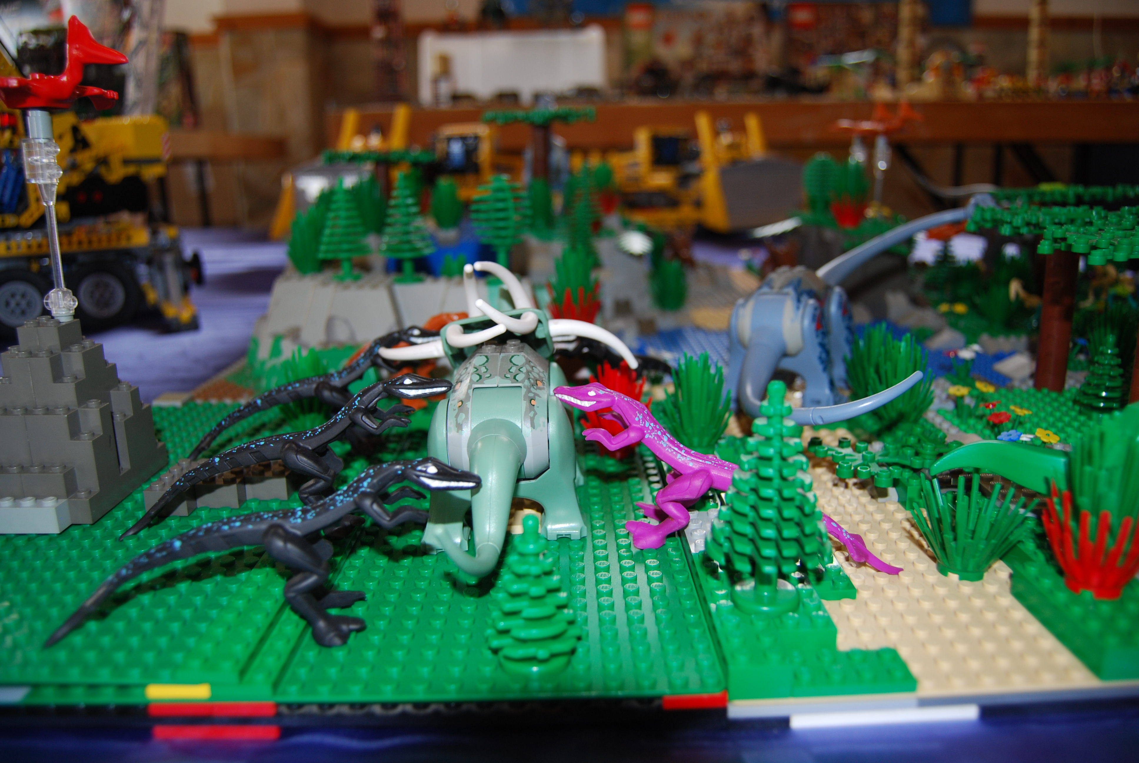 dsc_0147.jpg