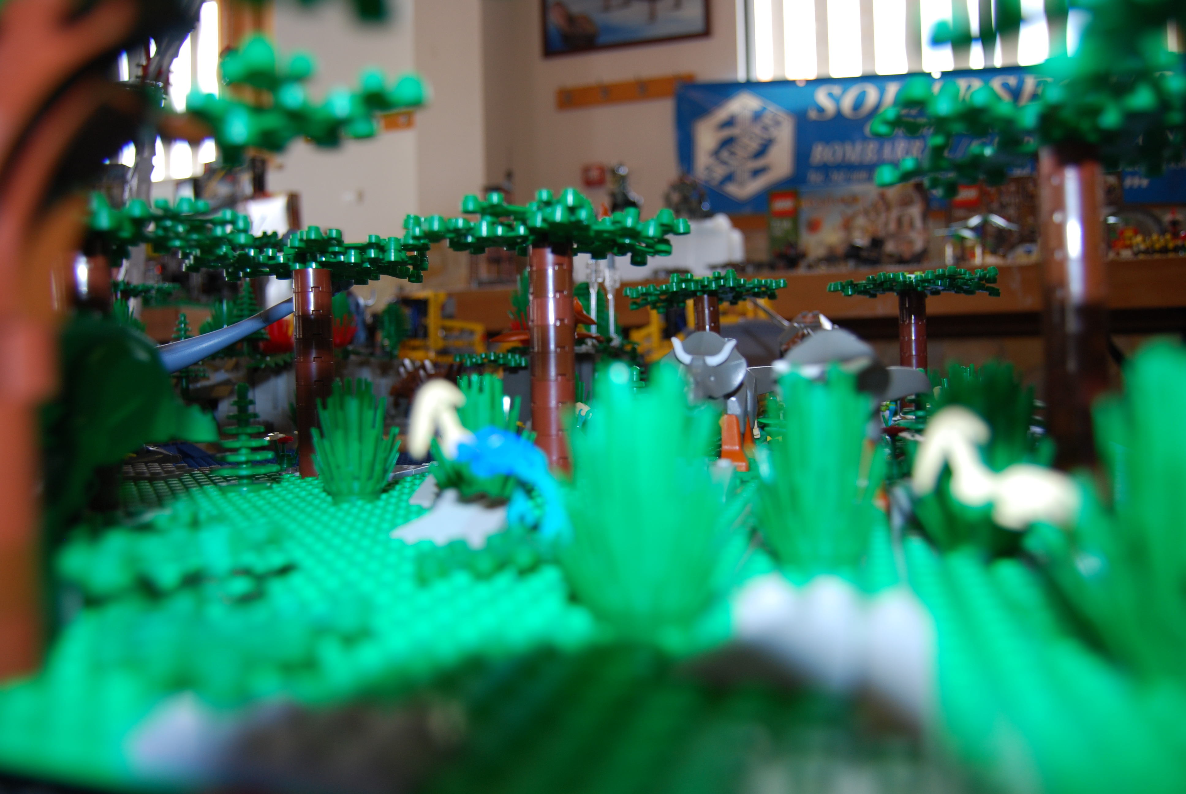 dsc_0149.jpg