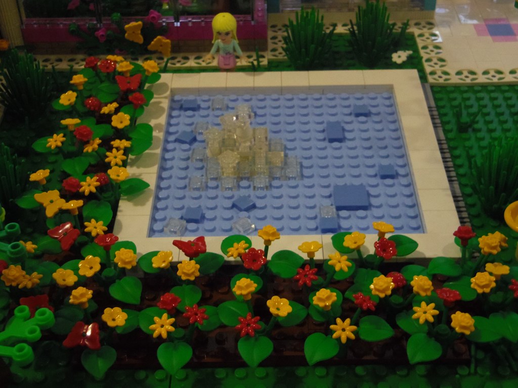 imgp4156.jpg