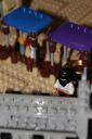 img_4433copy.jpg