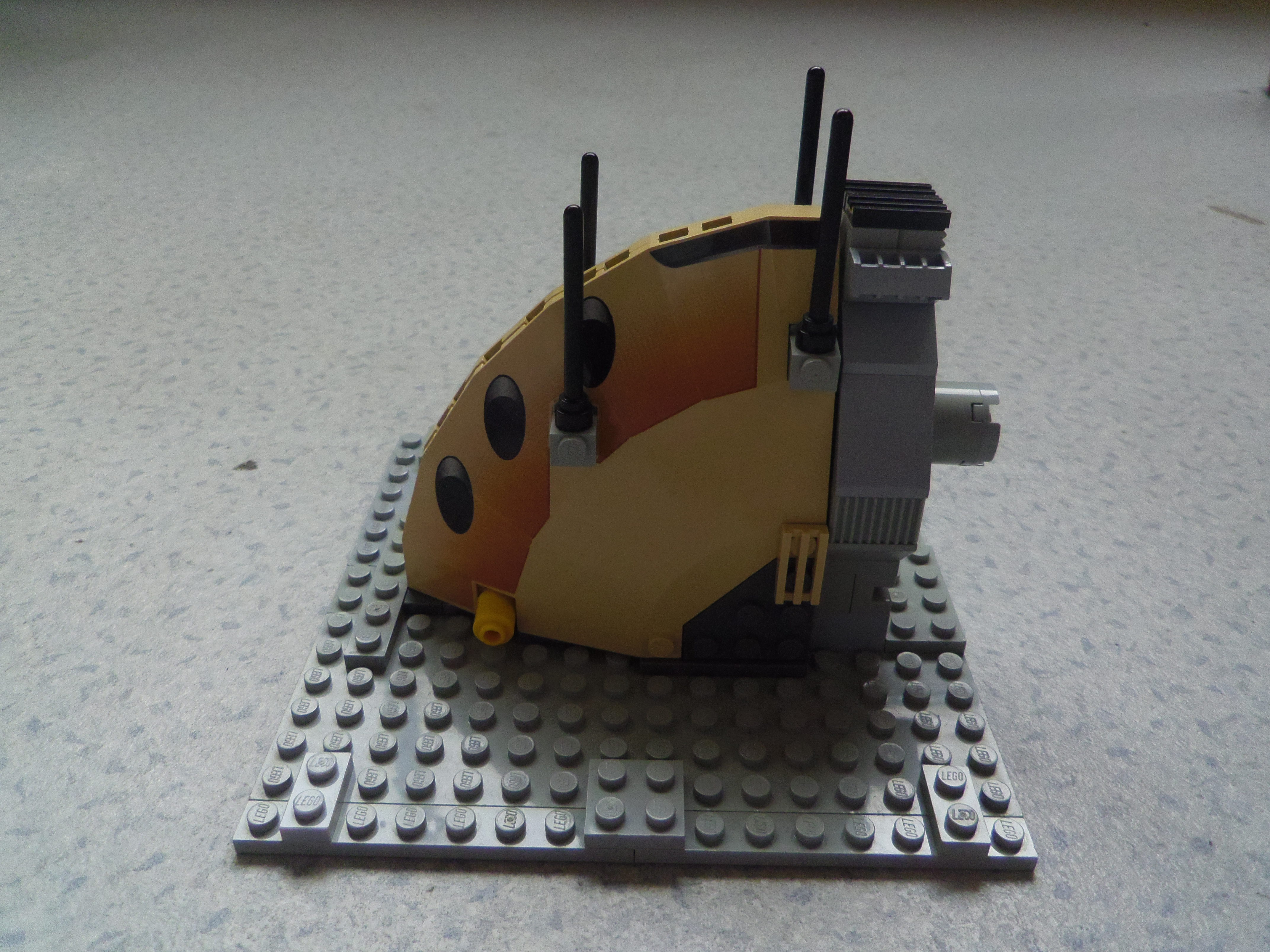 imgp2785.jpg