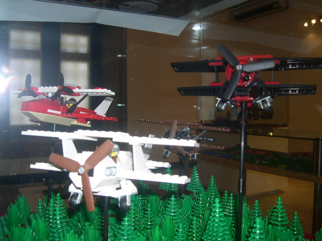 dscn7384.jpg