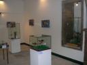 dscn7396.jpg