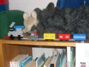 dscn4268.jpg
